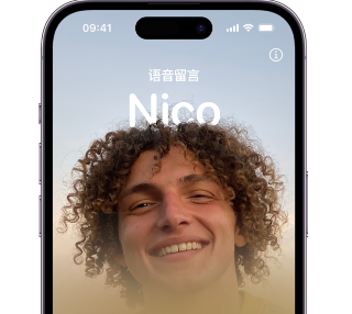 菏泽苹果15服务站分享iPhone15实时语音留言开启方法 